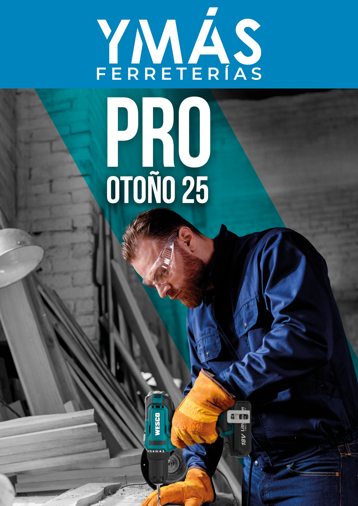 FOLLETO PROFESIONAL II 2025